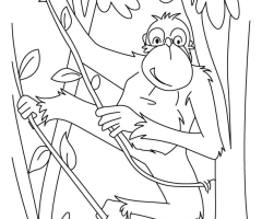 Coloriage chimpanzé